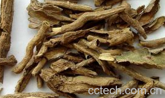 果蔬百科地骨皮的食用方法-0