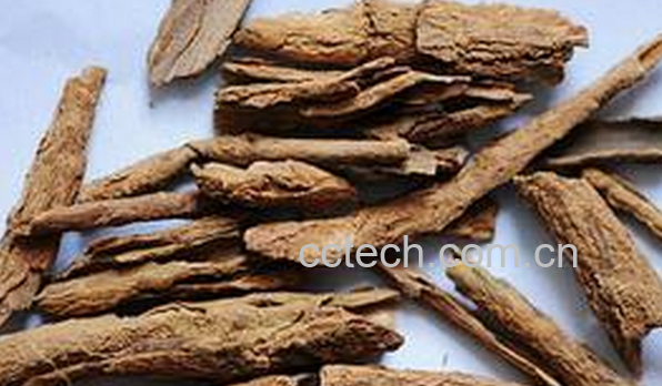 果蔬百科中药地骨皮的功效与作用-0