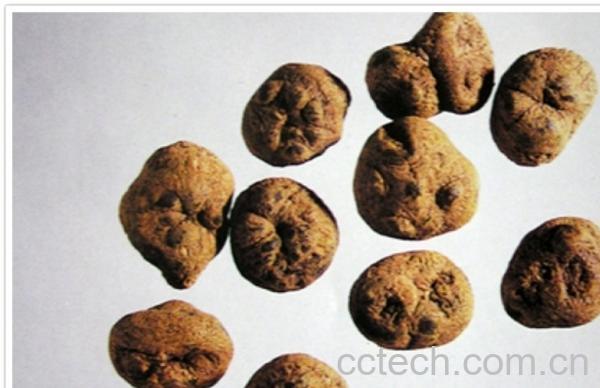 果蔬百科延胡索图片 延胡索的功效与作用-0