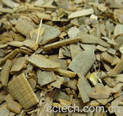 果蔬百科鬼箭羽图片 鬼箭羽的功效与作用-0