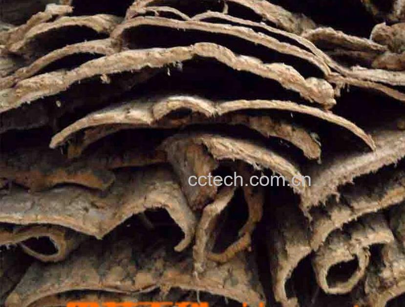 果蔬百科杜仲的功效与作用-0