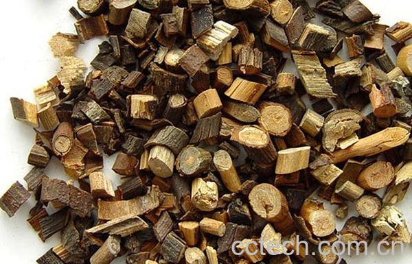 果蔬百科桂枝的功效与作用-0