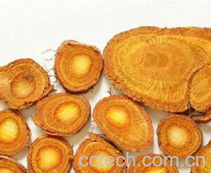 果蔬百科虎杖的功效与作用-0