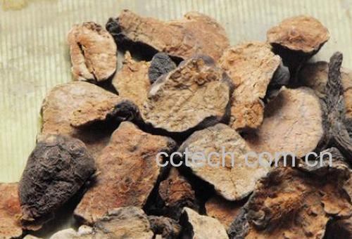 果蔬百科首乌藤的功效与作用-0