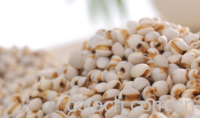 果蔬百科薏苡仁的功效与作用-0