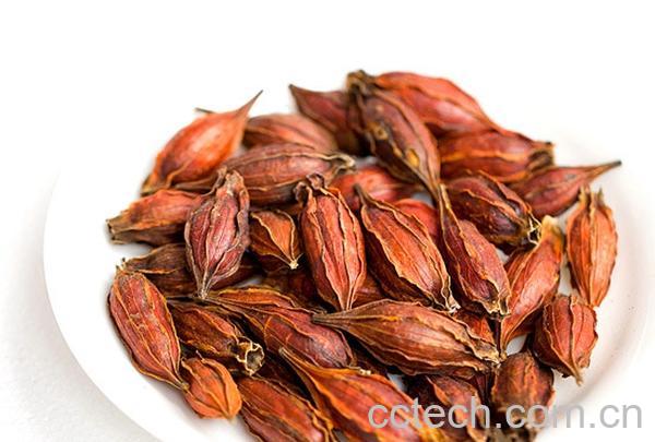 果蔬百科中药栀子性味归经 中药栀子功效作用及应用-0