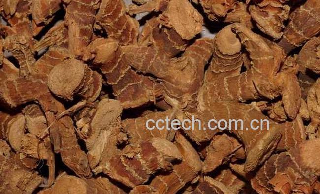 果蔬百科高良姜的功效与作用-0