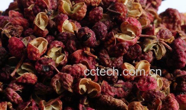 果蔬百科川椒的药用价值与功效-0