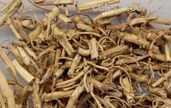 果蔬百科中药白前的来源与功效-0