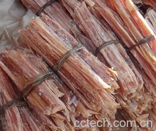 果蔬百科松节图片 松节的功效与作用-0