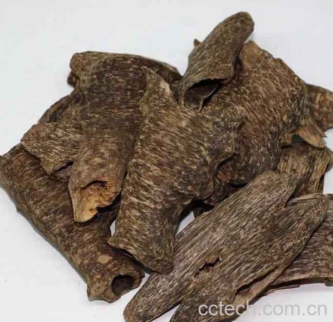 果蔬百科沉香的功效与作用-0