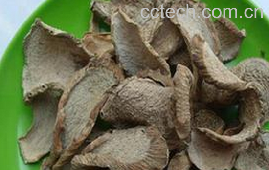 果蔬百科蛇六谷的功效与作用-0