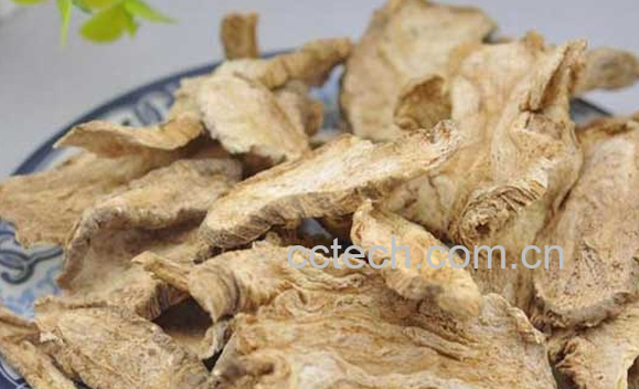 果蔬百科山海螺的功效与作用-0