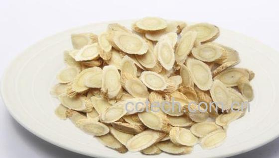 果蔬百科黄芪的功效与作用-0