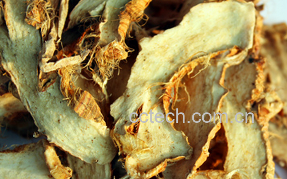 果蔬百科中药知母的功效与作用-0