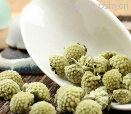 果蔬百科雪丽花的功效与作用-0