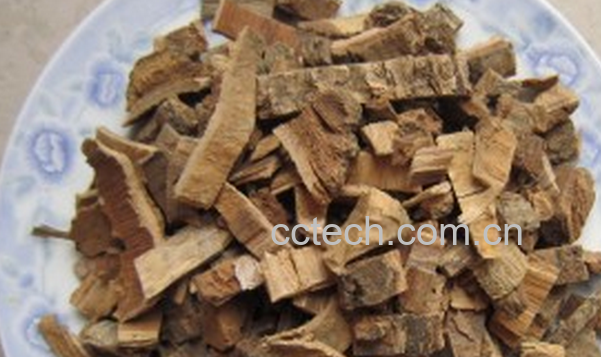 果蔬百科刺桐皮的功效与作用-0