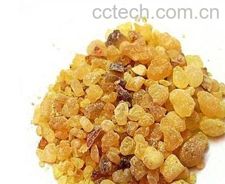 果蔬百科乳香图片 乳香的功效与作用-0