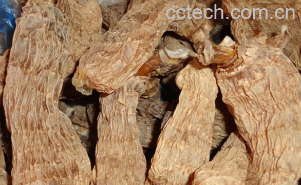 果蔬百科野生天麻的食用方法与禁忌-0