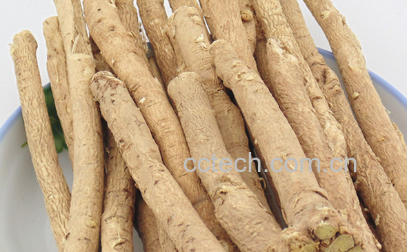 果蔬百科黄芪怎么吃好-0