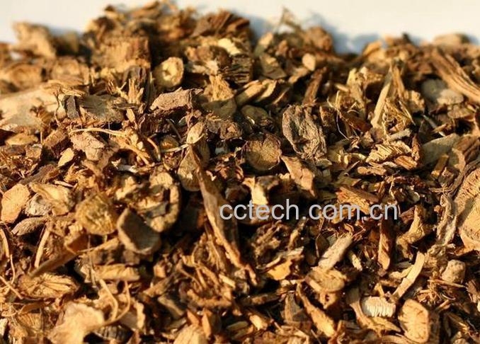 果蔬百科山豆根图片 山豆根的功效与作用-0