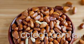 果蔬百科松子仁的功效与作用 松子仁怎么吃-0