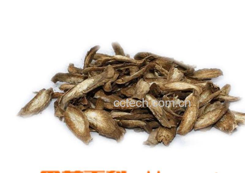 果蔬百科牛蒡子图片 牛蒡子的功效与作用-0