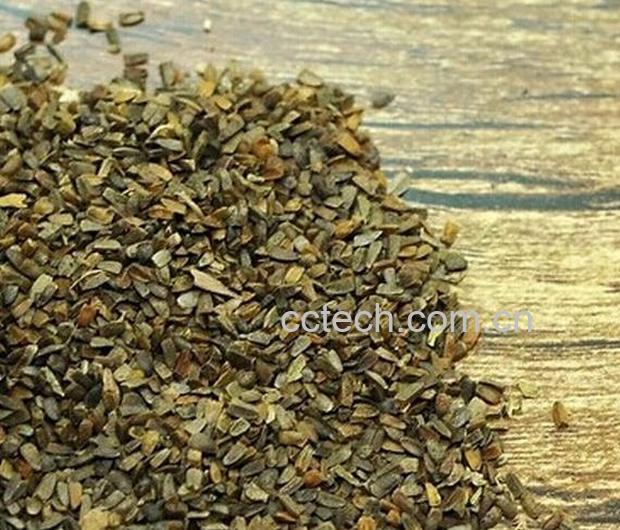 果蔬百科茺蔚子的功效与作用-0