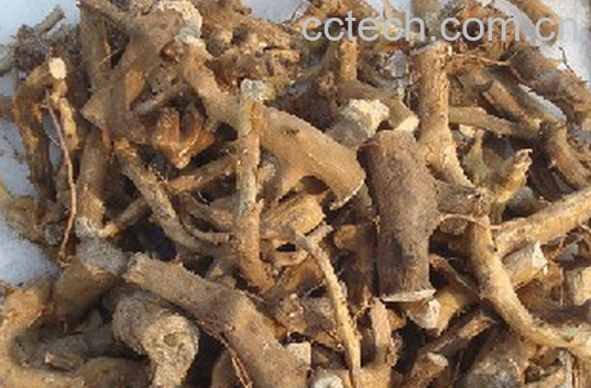 果蔬百科中药穿山龙的功效与用法-0