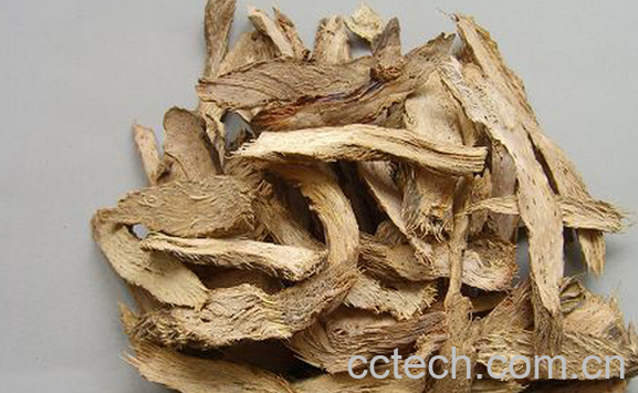 果蔬百科千年健的功效与作用-0