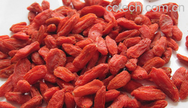 果蔬百科枸杞的妙用-0