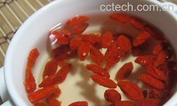 果蔬百科枸杞的正确吃法-0