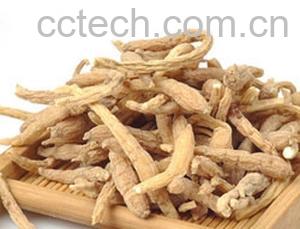 果蔬百科太子参图片 太子参的功效与作用-0