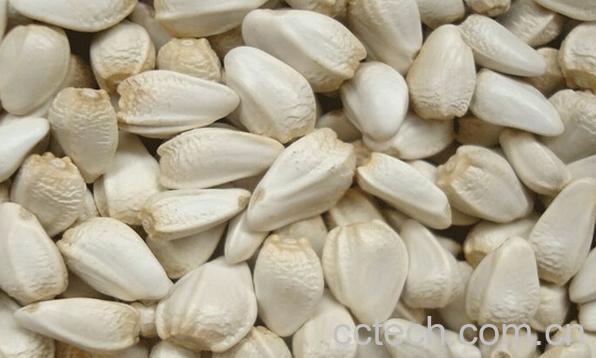 果蔬百科红花籽的功效与作用-0