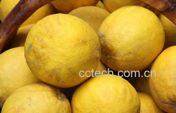 果蔬百科香椽的功效与作用-0