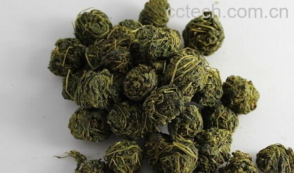 果蔬百科绞股蓝泡水喝的禁忌-0