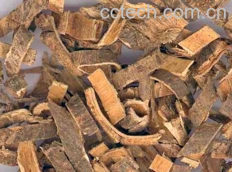 果蔬百科合欢皮图片 合欢皮的功效与作用-0