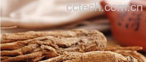 果蔬百科川芎图片 川芎的功效与作用-0