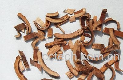 果蔬百科秦皮图片 秦皮的功效与作用-0