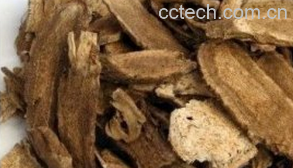 果蔬百科木香的食用方法与食用禁忌-0