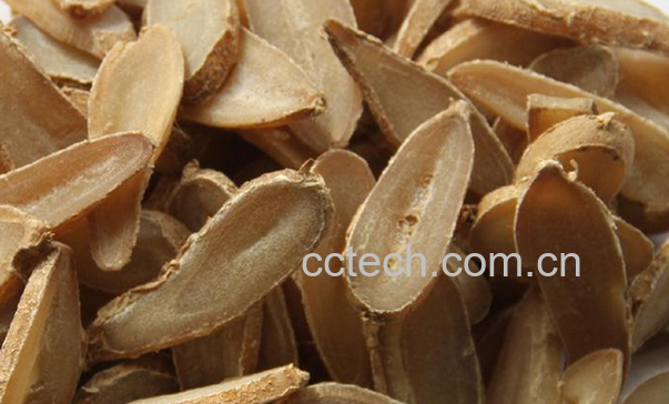 果蔬百科中药郁金的功效与作用-0