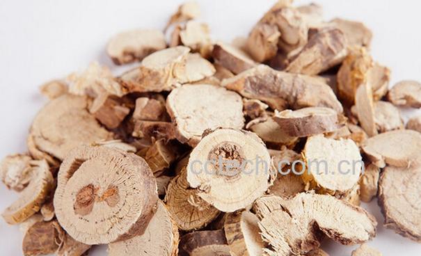 果蔬百科苦参的功效与作用及食用方法-0