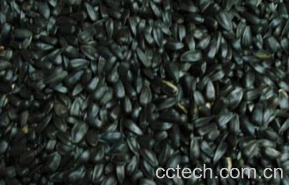 果蔬百科韭菜子泡酒的功效-0