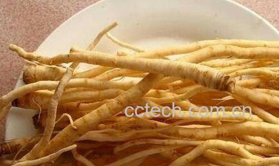 果蔬百科茴香根的功效与作用-0