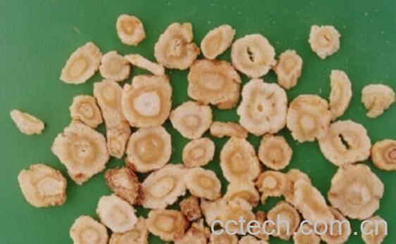 果蔬百科北沙参图片 北沙参的功效与作用-0