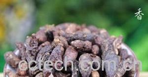 果蔬百科香附图片 香附的功效与作用-0