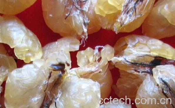 果蔬百科林蛙油的功效-0