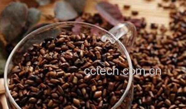 果蔬百科决明子的副作用-0