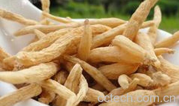 果蔬百科太子参的副作用-0