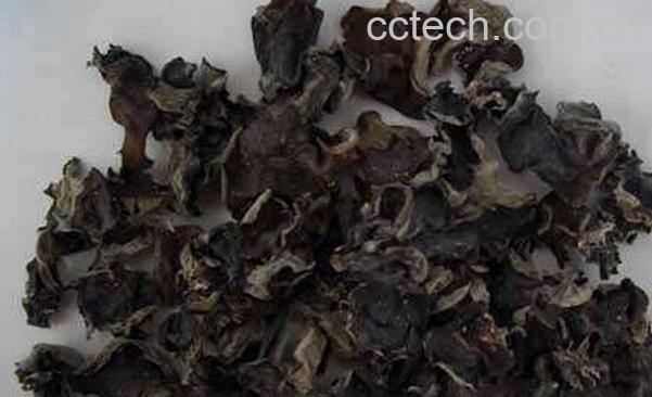 果蔬百科石耳的功效与作用-0